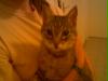 nancy boys erstes bild